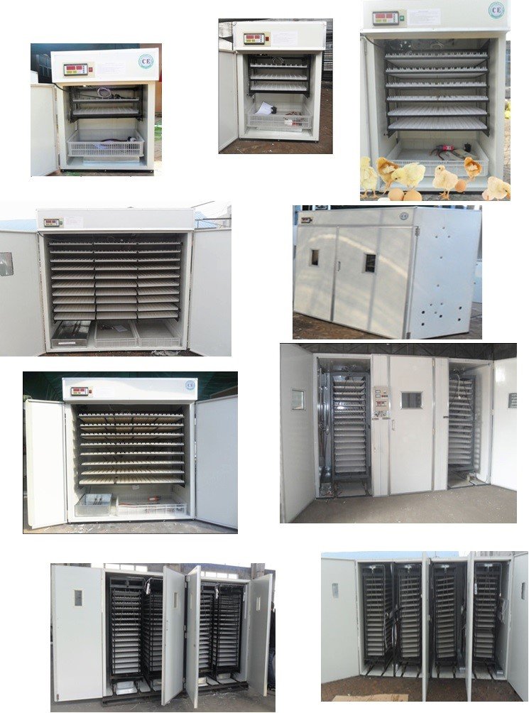 Incubateur/ couveuse industriel