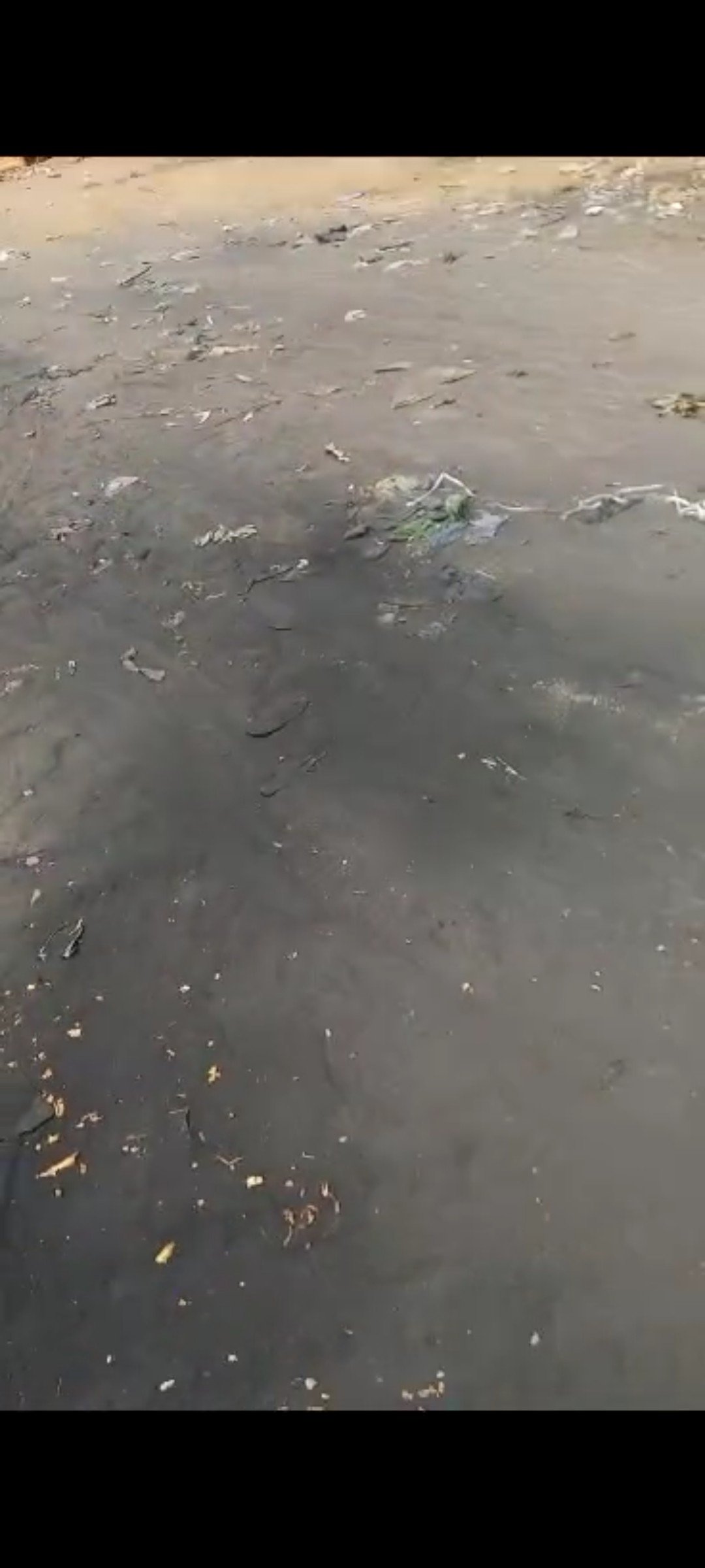 TERRAIN SUR BOULEVARD SENDWE