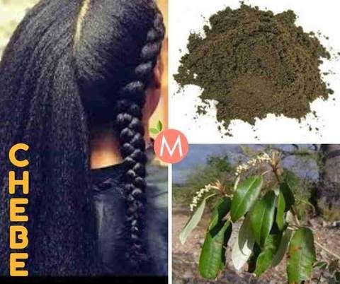 Poudre de chebé pour cheveux