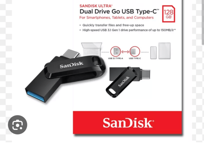 SanDisk duel flash