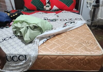 175d0510-88c9-477d-9559-ddd0b56903a6